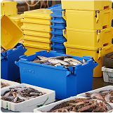 commercial fishing seafood processing